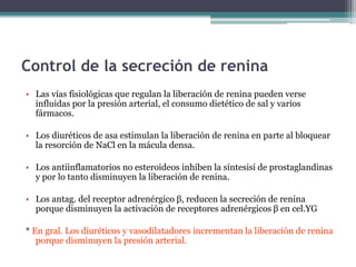 Control de la secreción de renina
• Las vías fisiológicas que regulan la liberación de renina pueden verse
influidas por la presión arterial, el consumo dietético de sal y varios
fármacos.
• Los diuréticos de asa estimulan la liberación de renina en parte al bloquear
la resorción de NaCl en la mácula densa.
• Los antiinflamatorios no esteroideos inhiben la síntesisi de prostaglandinas
y por lo tanto disminuyen la liberación de renina.
• Los antag. del receptor adrenérgico β, reducen la secreción de renina
porque disminuyen la activación de receptores adrenérgicos β en cel.YG
* En gral. Los diuréticos y vasodilatadores incrementan la liberación de renina
porque disminuyen la presión arterial.
 