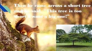 Then he came across a short tree
and he said, “This tree is too
short I want a big one!”
 