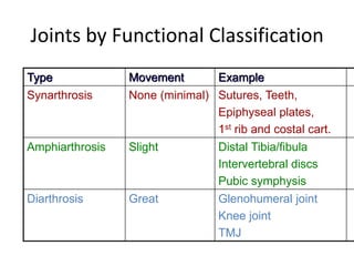 Joints by Functional Classification
Type Movement Example
Synarthrosis None (minimal) Sutures, Teeth,
Epiphyseal plates,
1st rib and costal cart.
Amphiarthrosis Slight Distal Tibia/fibula
Intervertebral discs
Pubic symphysis
Diarthrosis Great Glenohumeral joint
Knee joint
TMJ
 