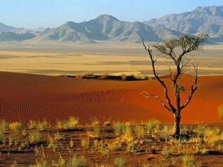 Splendeurs africaines