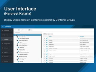 User Interface
(Harpreet Kataria)
Display unique names in Containers explorer by Container Groups
 
