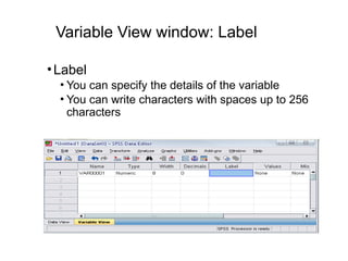 Variable View window: Label
•Label
• You can specify the details of the variable
• You can write characters with spaces up to 256
characters
 