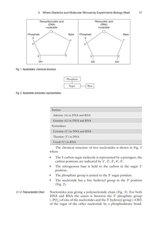 2 Where Statistics and Molecular Microarray Experiments Biology Meet                     17


                          Deoxyribonucleic acid                                Ribonucleic acid
                                 (DNA)                                              (RNA)
                              nucleotide                                          nucleotide

           Phosphate                                   Base     Phosphate                               Base
              5Ј                                                   5Ј
                                                        1Ј                                              1Ј
               4Ј                                                  4Ј



                     3Ј                           2Ј                      3Ј                       2Ј

                      OH                                                  OH                      OH


Fig. 1. Nucleotides’ chemical structure.


                                                    Phosphate

                                                       Sugar            Base

Fig. 2. Nucleotide schematic representation.




                                      Purines
                                       Adenine (A) in DNA and RNA
                                       Guanine (G) in DNA and RNA
                                      Pyrimidines
                                       Cytosine (C) in DNA and RNA
                                       Thymine (T) in DNA
                                       Uracil (U) in RNA
                                     The chemical structure of two nucleotides is shown in Fig. 1
                                  where
                                  ●     The 5 carbon sugar molecule is represented by a pentagon, the
                                        carbon positions are indicated by 1¢, 2¢, 3¢, 4¢, 5¢.
                                  ●     The nitrogenous base is held to the carbon in the sugar 1¢
                                        position.
                                  ●     The phosphate group is joined to the 5¢ sugar position.
                                  ●     The nucleotide has a free hydroxyl group in the 3¢ position
                                        (Fig. 2).

2.1.2. Polynucleotide Chain       Nucleotides join giving a polynucleotide chain (Fig. 3). For both
                                  DNA and RNA the union is between the 5¢ phosphate group
                                  (–PO4) of one of the nucleotides and the 3¢ hydroxyl group (–OH)
                                  of the sugar of the other nucleotide by a phosphodiester bond.
 