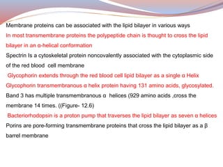 Membrane proteins can be associated with the lipid bilayer in various ways
In most transmembrane proteins the polypeptide chain is thought to cross the lipid
bilayer in an α-helical conformation
Spectrin Is a cytoskeletal protein noncovalently associated with the cytoplasmic side
of the red blood cell membrane
Glycophorin extends through the red blood cell lipid bilayer as a single α Helix
Glycophorin transmembranous α helix protein having 131 amino acids, glycosylated.
Band 3 has multiple transmembranous α helices (929 amino acids ,cross the
membrane 14 times. ((Figure- 12.6)
Bacteriorhodopsin is a proton pump that traverses the lipid bilayer as seven α helices
Porins are pore-forming transmembrane proteins that cross the lipid bilayer as a β
barrel membrane
 