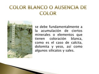 se debe fundamentalmente a
la acumulación de ciertos
minerales o elementos que
tienen coloración blanca,
como es el caso de calcita,
dolomita y yeso, así como
algunos silicatos y sales.
 