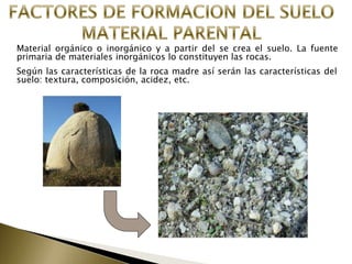 Material orgánico o inorgánico y a partir del se crea el suelo. La fuente
primaria de materiales inorgánicos lo constituyen las rocas.
Según las características de la roca madre así serán las características del
suelo: textura, composición, acidez, etc.
 