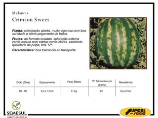 Melancia Crimson Sweet Planta:  polinização aberta, muito vigorosa com boa sanidade e ótimo pegamento de frutos. Frutos:  de formato ovalado, coloração externa verde-escura com estrias verde-claras, excelente qualidade de polpa, brix 12º. Característica:  boa tolerância ao transporte. Ciclo (Dias)‏ 80 - 90 Espaçamento 3,0 x 1,5 m 11 kg N.º Sementes por grama 22 Resistência Co e Fon Peso Médio  