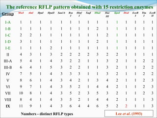 The reference RFLP pattern obtained with 15 restriction enzymes
Lee et al. (1993)
Group MseI AluI HpaI HpaII Sau3A Rsa
I
Hinf
I
TaqI HhaI Hae
III
KpnI DraI EcoR
I
Tha
I
EcoR
II
I-A 1 1 1 1 1 1 1 1 1 1 1 1 1 1 1
I-B 1 1 1 1 1 1 1 1 2 1 1 1 1 1 1
I-C 2 2 1 1 1 1 1 1 1 2 1 1 1 1 1
I-D 3 1 1 1 1 1 1 1 2 1 1 1 1 1 1
I-E 1 1 1 2 1 1 1 1 1 1 1 1 1 1 1
II 4 3 1 3 2 2 2 2 3 2 2 1 1 1 1
III-A 5 4 1 4 3 2 2 1 1 3 2 1 1 2 2
III-B 6 4 1 5 3 2 2 1 1 3 2 1 1 2 2
IV 7 5 1 4 3 3 3 1 1 3 2 1 1 2 2
V 8 6 1 4 3 4 2 1 3 4 2 1 1 2 3
VI 9 7 1 4 3 5 2 1 4 4 2 1 1 2 3
VII 10 8 1 4 3 5 2 3 5 3 2 1 1 2 3
VIII 8 4 1 4 3 5 2 1 4 4 2 1 1 1 3
IX 11 9 1 4 3 6 4 4 6 5 2 2 1 1 3
Numbers - distinct RFLP types
 