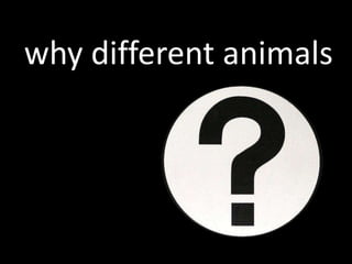 why different animals
 