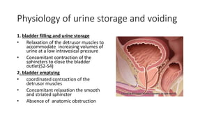 Physiology of urine storage and voiding
1. bladder filling and urine storage
• Relaxation of the detrusor muscles to
accommodate increasing volumes of
urine at a low intravesical pressure
• Concomitant contraction of the
sphincters to close the bladder
outlet(S2-S4)
2. bladder emptying
• coordinated contraction of the
detrusor muscles
• Concomitant relaxation the smooth
and striated sphincter
• Absence of anatomic obstruction
 