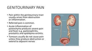 GENITOURINARY PAIN
• Pain within the genitourinary tract
usually arises from obstruction
or inflammation.
• Referred pain is common.
• Acute inflammation of
parenchyma produces severe pain
and fever e.g. pyelonephritis,
prostatitis and epididymo-orchitis.
• Tumours usually do not cause pain
unless they produce obstruction or
extend to adjacent nerves
 