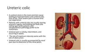 Ureteric colic
• A ureteral stone is the most common cause
leading to hyperperistalsis and ureteral colic.
One of the most severe pain a human-kind
can experience.
• Patients with ureteral colic are usually moving
around in agony, and holding the flank (the
rolling sign) while patients with
intraperitoneal pathology prefer to lie
motionless.
• Ureteral pain is colicky, intermittent, and
occurring in waves.
• The site of maximum intensity varies with the
site of obstruction.
• Ureteral colic is usually accompanied by renal
pain due to distension of the renal pelvis.
 