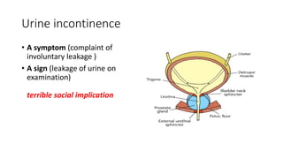 Urine incontinence
• A symptom (complaint of
involuntary leakage )
• A sign (leakage of urine on
examination)
terrible social implication
 