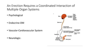 An Erection Requires a Coordinated Interaction of
Multiple Organ Systems
• Psychological
• Endocrine-DM
• Vascular-Cardiovascular System
• Neurologic-
 