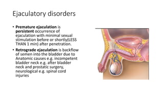 Ejaculatory disorders
• Premature ejaculation is
persistent occurrence of
ejaculation with minimal sexual
stimulation before or shortly(LESS
THAN 1 min) after penetration.
• Retrograde ejaculation is backflow
of semen into the bladder due to
Anatomic causes e.g. incompetent
bladder neck e.g. after bladder
neck and prostatic surgery,
neurological e.g. spinal cord
injuries
 