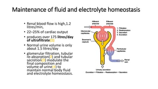 Maintenance of fluid and electrolyte homeostasis
• Renal blood flow is high,1.2
litres/min,
• 22–25% of cardiac output
• produces over 175 litres/day
of ultrafiltrate(1)
• Normal urine volume is only
about 1.5 litres/day
• glomerular filtration, tubular
re-absorption(2) and tubular
secretion(3) modulate the
final composition and
volume of urine(4) to
maintain normal body fluid
and electrolyte homeostasis.
 