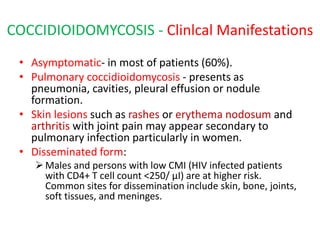 COCCIDIOIDOMYCOSIS - Clinlcal Manifestations
• Asymptomatic- in most of patients (60%).
• Pulmonary coccidioidomycosis - presents as
pneumonia, cavities, pleural effusion or nodule
formation.
• Skin lesions such as rashes or erythema nodosum and
arthritis with joint pain may appear secondary to
pulmonary infection particularly in women.
• Disseminated form:
Males and persons with low CMI (HIV infected patients
with CD4+ T cell count <250/ µI) are at higher risk.
Common sites for dissemination include skin, bone, joints,
soft tissues, and meninges.
 