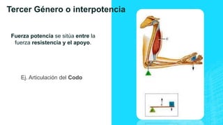 Tercer Género o interpotencia
Fuerza potencia se sitúa entre la
fuerza resistencia y el apoyo.
Ej. Articulación del Codo
 