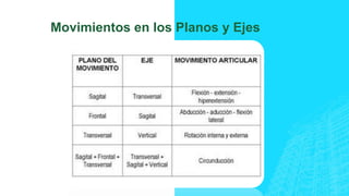 Movimientos en los Planos y Ejes
 