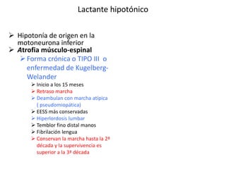 Lactante hipotónico
 Hipotonía de origen en la
motoneurona inferior
 Atrofia músculo-espinal
Forma crónica o TIPO III o
enfermedad de Kugelberg-
Welander
 Inicio a los 15 meses
 Retraso marcha
 Deambulan con marcha atípica
( pseudomiopática)
 EESS más conservadas
 Hiperlordosis lumbar
 Temblor fino distal manos
 Fibrilación lengua
 Conservan la marcha hasta la 2ª
década y la supervivencia es
superior a la 3ª década
 