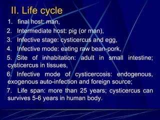 II. Life cycle
1. final host: man,
2. Intermediate host: pig (or man),
3. Infective stage: cysticercus and egg,
4. Infective mode: eating raw bean-pork,
5. Site of inhabitation: adult in small intestine;
cysticercus in tissues,
6. Infective mode of cysticercosis: endogenous,
exogenous auto-infection and foreign source;
7. Life span: more than 25 years; cysticercus can
survives 5-6 years in human body.
 