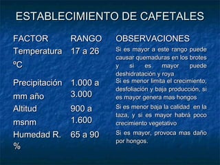 ESTABLECIMIENTO DE CAFETALESESTABLECIMIENTO DE CAFETALES
FACTORFACTOR RANGORANGO OBSERVACIONESOBSERVACIONES
TemperaturaTemperatura
ºCºC
17 a 2617 a 26 Si es mayor a este rango puedeSi es mayor a este rango puede
causar quemaduras en los brotescausar quemaduras en los brotes
y si es mayor puedey si es mayor puede
deshidratación y royadeshidratación y roya
PrecipitaciónPrecipitación
mm añomm año
1.000 a1.000 a
3.0003.000
Si es menor limita el crecimiento,Si es menor limita el crecimiento,
desfoliación y baja producción, sidesfoliación y baja producción, si
es mayor genera mas hongoses mayor genera mas hongos
AltitudAltitud
msnmmsnm
900 a900 a
1.6001.600
Si es menor baja la calidad en laSi es menor baja la calidad en la
taza, y si es mayor habrá pocotaza, y si es mayor habrá poco
crecimiento vegetativocrecimiento vegetativo
Humedad R.Humedad R.
%%
65 a 9065 a 90 Si es mayor, provoca mas dañoSi es mayor, provoca mas daño
por hongos.por hongos.
 