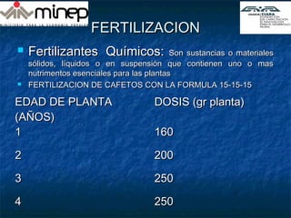FERTILIZACIONFERTILIZACION
 FertilizantesFertilizantes Químicos:Químicos: Son sustancias o materialesSon sustancias o materiales
sólidos, líquidos o en suspensión que contienen uno o massólidos, líquidos o en suspensión que contienen uno o mas
nutrimentos esenciales para las plantasnutrimentos esenciales para las plantas
 FERTILIZACION DE CAFETOS CON LA FORMULA 15-15-15FERTILIZACION DE CAFETOS CON LA FORMULA 15-15-15
EDAD DE PLANTAEDAD DE PLANTA
(AÑOS)(AÑOS)
DOSIS (gr planta)DOSIS (gr planta)
11 160160
22 200200
33 250250
44 250250
 