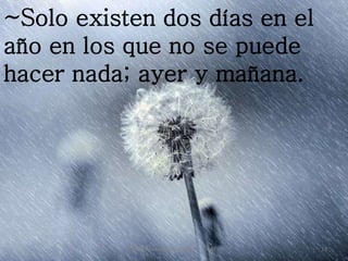 ~Solo existen dos días en el
año en los que no se puede
hacer nada; ayer y mañana.
PROGRAMA DE CÓMPUTO A - USAT 13
 
