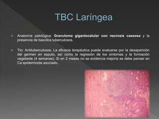  Anatomía patológica: Granuloma gigantocelular con necrosis caseosa y la
presencia de bascilos tuberculosos.
 Tto: Antituberculosos. La eficacia terapéutica puede evaluarse por la desaparición
del germen en esputo, así como la regresión de los síntomas y la formación
vegetante (4 semanas). Si en 2 meses no se evidencia mejoría se debe pensar en
Ca epidermoide asociado.
 