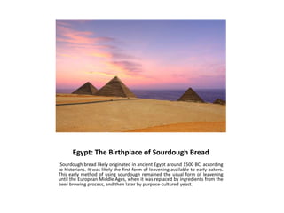 Egypt: The Birthplace of Sourdough Bread
 Sourdough bread likely originated in ancient Egypt around 1500 BC, according
to historians. It was likely the first form of leavening available to early bakers.
This early method of using sourdough remained the usual form of leavening
until the European Middle Ages, when it was replaced by ingredients from the
beer brewing process, and then later by purpose-cultured yeast.
 