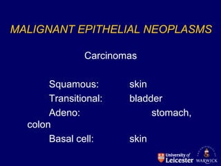 MALIGNANT EPITHELIAL NEOPLASMS
Carcinomas
Squamous: skin
Transitional: bladder
Adeno: stomach,
colon
Basal cell: skin
 