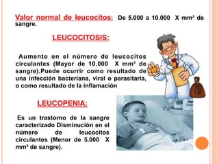 Valor normal de leucocitos: De 5.000 a 10.000 X mm³ de
sangre.
LEUCOPENIA:
Es un trastorno de la sangre
caracterizado Disminución en el
número de leucocitos
circulantes (Menor de 5.000 X
mm³ de sangre).
LEUCOCITOSIS:
Aumento en el número de leucocitos
circulantes (Mayor de 10.000 X mm³ de
sangre).Puede ocurrir como resultado de
una infección bacteriana, viral o parasitaria,
o como resultado de la inflamación
 