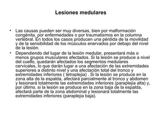 Lesiones medulares Las causas pueden ser muy diversas, bien por malformación congénita, por enfermedades o por traumatismos en la columna vertebral. En todos los casos producen una pérdida de la movilidad y de la sensibilidad de los músculos enervados por debajo del nivel de la lesión. Dependiendo del lugar de la lesión medular, presentará más o menos grupos musculares afectados. Si la lesión se produce a nivel del cuello, quedarán afectados los segmentos medulares cervicales, lo que darán lugar a una afectación de las extremidades superiores a distinto nivel y una afectación total del tronco y extremidades inferiores ( tetraplejia) . Si la lesión se produce en la zona alta de la espalda, afectará parcialmente al tronco y abdomen y lesionará totalmente las extremidades inferiores (paraplejia alta) y, por último, si la lesión se produce en la zona baja de la espalda, afectará parte de la zona abdominal y lesionará totalmente las extremidades inferiores (paraplejia baja). 