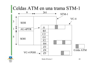 Redes III tema 2 60
SOH
AU-4PTR
SOH
J1
B3
C2
G1
F2
H4
Z3
Z4
Z5
Celdas ATM en una trama STM-1
Celda ATM
VC-4
STM-1
3
1
5
9 261
VC-4 POH
 