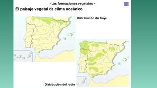 Tema 4 incompl
