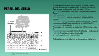 PERFIL DEL SUELO
El suelo se compone de varias capas u horizontes:varios
estratos con características propias. Se llaman horizontes.
Todo el corte se denomina perfil del suelo*. Partes:
Horizonte A: eluviación. Lavado de los materiales del suelo.
Zonas:
• A0 hojarasca*
• A1 capa oscura. materia orgánica en descomposición :
humus*
• A2 capa más clara materia orgánica mezclada con materia
mineral partículas finas arrastradas al fondo (lixiviación*)
Horizonte B: de iluviación*
Acumulación de materiales procedentes del horizonte A y del
C
Horizonte C: roca-madre parcialmente alterada o meteorizada
Horizonte D: es la roca madre inalterada
Los suelos pueden ser muy variados.
En España gran diversidad por la diversidad en los factores
Fuente: elaboración propia de Isaac
Buzo
 