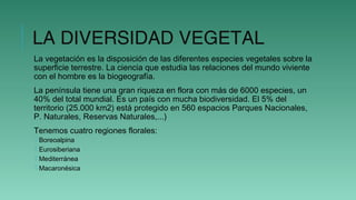 LA DIVERSIDAD VEGETAL
La vegetación es la disposición de las diferentes especies vegetales sobre la
superficie terrestre. La ciencia que estudia las relaciones del mundo viviente
con el hombre es la biogeografía.
La península tiene una gran riqueza en flora con más de 6000 especies, un
40% del total mundial. Es un país con mucha biodiversidad. El 5% del
territorio (25.000 km2) está protegido en 560 espacios Parques Nacionales,
P. Naturales, Reservas Naturales,...)
Tenemos cuatro regiones florales:
 Boreoalpina
 Eurosiberiana
 Mediterránea
 Macaronésica
 