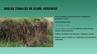 SUELOS ZONALES DE CLIMA OCEÁNICO
Mucha materia orgánica (mucha vegetación),
lixiviados, ácidos.
Los principales son:
a) Tierras pardas:
Tierra parda húmeda: se extiende sobre la zona
silícea, clima oceánico
Galicia, Occidente de Asturias y Sistema central
Buenos para el cultivo en zona llana. En pendiente
pastizales.
 