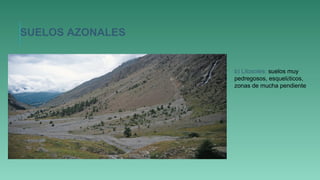 b) Litosoles: suelos muy
pedregosos, esqueléticos,
zonas de mucha pendiente
SUELOS AZONALES
 