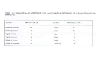 Temperatura 2.0
