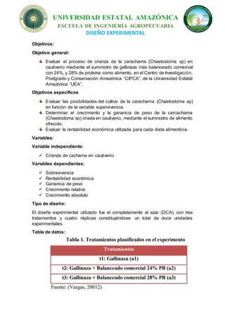 UNIVERSIDAD ESTATAL AMAZÓNICA
ESCUELA DE INGENIERÍA AGROPECUARIA
DISEÑO EXPERIMENTAL
Objetivos:
Objetivo general:
Evaluar el proceso de crianza de la carachama (Chaetostoma sp) en
cautiverio mediante el suministro de gallinaza más balanceado comercial
con 24%, y 28% de proteína como alimento, en el Centro de Investigación,
Postgrado y Conservación Amazónica “CIPCA”, de la Universidad Estatal
Amazónica “UEA”.
Objetivos específicos
Evaluar las posibilidades del cultivo de la carachama (Chaetostoma sp)
en función de la variable supervivencia.
Determinar el crecimiento y la ganancia de peso de la carcachama
(Chaetostoma sp) criada en cautiverio, mediante el suministro de alimento
ofrecido.
Evaluar la rentabilidad económica utilizada para cada dieta alimenticia.
Variables:
Variable independiente:
 Crianza de cachama en cautiverio
Variables dependientes:
 Sobrevivencia
 Rentabilidad económica
 Ganancia de peso
 Crecimiento relativo
 Crecimiento absoluto
Tipo de diseño:
El diseño experimental utilizado fue el completamente al azar (DCA), con tres
tratamientos y cuatro réplicas constituyéndose un total de doce unidades
experimentales.
Tabla de datos:
 