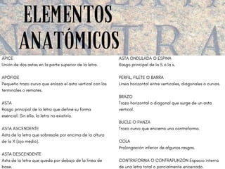 ELEMENTOS
ANATÓMICOS
ÁPICE 
Unión de dos astas en la parte superior de la letra. 
APÓFIGE 
Pequeño trazo curvo que enlaza el asta vertical con los
terminales o remates. 
ASTA 
Rasgo principal de la letra que define su forma
esencial. Sin ella, la letra no existiría. 
ASTA ASCENDENTE 
Asta de la letra que sobresale por encima de la altura
de la X (ojo medio). 
ASTA DESCENDENTE 
Asta de la letra que queda por debajo de la línea de
base. 
ASTA ONDULADA O ESPINA 
Rasgo principal de la S o la s. 
PERFIL, FILETE O BARRA 
Línea horizontal entre verticales, diagonales o curvas. 
BRAZO 
Trazo horizontal o diagonal que surge de un asta
vertical. 
BUCLE O PANZA 
Trazo curvo que encierra una contraforma.
COLA
Prolongación inferior de algunos rasgos.
CONTRAFORMA O CONTRAPUNZÓN Espacio interno
de una letra total o parcialmente encerrado. 
 
