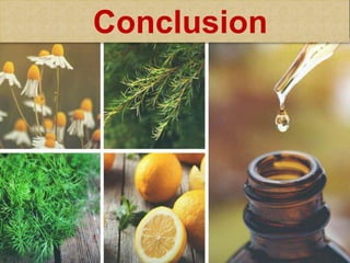 Conclusion
 