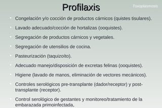 Toxoplasmosis
ProfilaxisProfilaxis

Congelación y/o cocción de productos cárnicos (quistes tisulares).

Lavado adecuado/cocción de hortalizas (ooquistes).

Segregación de productos cárnicos y vegetales.

Segregación de utensilios de cocina.

Pasteurización (taquizoíto).

Adecuado manejo/disposición de excretas felinas (ooquistes).

Higiene (lavado de manos, eliminación de vectores mecánicos).

Controles serológicos pre-transplante (dador/receptor) y post-
transplante (receptor).

Control serológico de gestantes y monitoreo/tratamiento de la
embarazada primoinfectada..
 