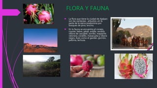 FLORA Y FAUNA
 La flora que tiene la ciudad de Ajalpan
son las cactáceas , arbustos ,en la
parte de la sierra predomina por
bosques de pino, encino.
 En la fauna se encuentra el conejo,
coyote, liebre, jabalí, ardilla, venado,
víbora de cascabel, zorrillo, mapache;
ratonera, coralillo, masacuata y víbora
negra. Aves como el gavilán, gorrión,
paloma, lechuza.
 