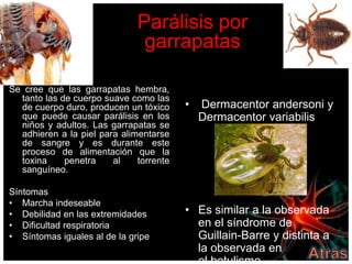 Parálisis por
                               garrapatas

Se cree que las garrapatas hembra,
  tanto las de cuerpo suave como las
  de cuerpo duro, producen un tóxico     •   Dermacentor andersoni y
  que puede causar parálisis en los          Dermacentor variabilis
  niños y adultos. Las garrapatas se
  adhieren a la piel para alimentarse
  de sangre y es durante este
  proceso de alimentación que la
  toxina     penetra    al    torrente
  sanguíneo.

Síntomas
• Marcha indeseable
• Debilidad en las extremidades          • Es similar a la observada
• Dificultad respiratoria                  en el síndrome de
• Síntomas iguales al de la gripe          Guillain-Barre y distinta a
                                           la observada en
 