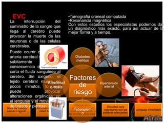 EVC                                    •Tomografía craneal computada
  La         interrupción        del       •Resonancia magnética
  suministro de la sangre que              Con estos estudios los especialistas podemos dar
                                           un diagnóstico más exacto, para así actuar de la
  llega al cerebro puede                   mejor forma y a tiempo.
  provocar la muerte de las
  neuronas o de las células
  cerebrales.
  Puede ocurrir cuando una
  arteria cerebral se obstruye                  Diabetes
  súbitamente            y          a           mellitus
  consecuencia de esto, se
  corta el fluido sanguíneo al
  cerebro. Sin oxígeno, el
  tejido cerebral muere en
                                           Factores
                            Ateroescl                               Hipertensión
  pocos minutos, lo e-rosis    cual            de                      arterial
  puede                  provocar           riesgo
                                              Síntomas

  alteraciones orgánicas en
  el lenguaje y el movimiento
  de brazos y piernas                           Pérdida de la
                                                                        Dificultad para
Dolor de cabeza     Adormecimiento de la     sensibilidad en un
                                               Tabaquism              expresarse con las   Lenguaje ininteligible
intenso o agudo       mitad del cuerpo     brazo o una pierna, o
                                                      o              palabras adecuadas
                                           de la mitad de la cara
 