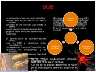SGB
No se ha determinado una causa específica.   •   Como consecuencia del daño que sufre
                                                                Evolución
Muchos casos se producen al poco tiempo          el axón las señales nerviosas sufren un
                                                                  rápida
    (días o                                      atraso o son objeto de cambios. Esta
semanas) de una infección viral. Desde un        situación es seguida por sensaciones
    resfrío                                      anormales y por debilidad muscular.
o catarro común, irritación dolorosa de la   •   El nervio se convierte en una víctima
                                                 inocente
garganta, hasta afecciones estomacales e
Intestinales

En algunos casos se estableció relación
    directa
entre el SGB/ e infecciones virales
    específicas: el
                                                   Perdida de                   Sensaciones
citomegalovirus, el virus de Epstein-Barr, las     los reflejos                  extrañas
neumonías con micoplasmosis y las
    bacterias
grammanegativas Campylobacter Yeyuni/coli
    que
se encuentran en el aparato No se Se
                              digestivo. verifica predisposición genética,
desconoce cómo estos microorganismos
    generan                  dado que no se da en familias.
el SGB                       Aún no se ha podido determinar la razón
                          por la cual algunas personas adquieren el
                          SGB/.
 