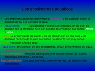 Los ecosistemas acuáticos
• Los ambientes acuáticos conforman la hidrosfera y se clasifican según la
cantidad de sal que contiene el agua.
• Agua salada: Los océanos y mares son extensos, en los que, de
acuerdo con la presencia de la luz, pueden determinarse dos zonas: Afótica
y fótica.
Afótica: La presencia de las planta y de los fitoplancton es casi nula y los
animales capaces de resistir la escasez de alimento son muy pocos.
Fótica: Necesitan energía solar.
Agua dulce: Se clasifican en dos ecosistemas, según el movimiento del agua:
Ecosistema léntico y ecosistema lótico.
Ecosistema léntico: Presenta agua quieta o de escaso caudal. Ej.: Lagos,
estanques, pantanos y embalses.
Ecosistema lótico: Con agua corriente, como en los ríos, los arroyos y los
manantiales.
 