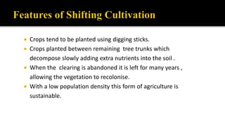  Crops tend to be planted using digging sticks.
 Crops planted between remaining tree trunks which
decompose slowly adding extra nutrients into the soil .
 When the clearing is abandoned it is left for many years ,
allowing the vegetation to recolonise.
 With a low population density this form of agriculture is
sustainable.
 